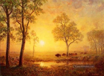 Albert Bierstadt Werke - Sonnenuntergang auf dem Berg Albert Bier